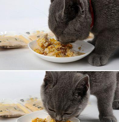 猫咪三个月能吃什么零食（探究适合三个月大猫咪的零食种类及营养成分）