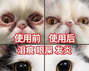 猫咪眼流泪有眼屎怎么办（帮助你解决宠物猫眼部问题）