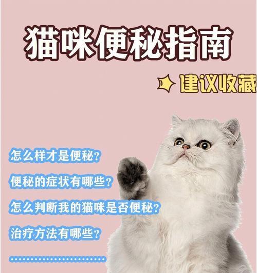 猫咪便秘怎么办（教你正确喂养）