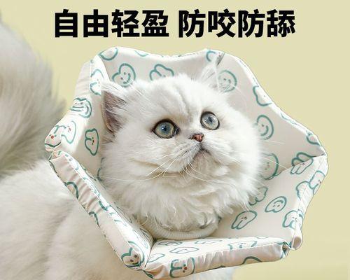 猫咪的脖子到底有多敏感（探究猫咪脖子敏感度的原因和影响）