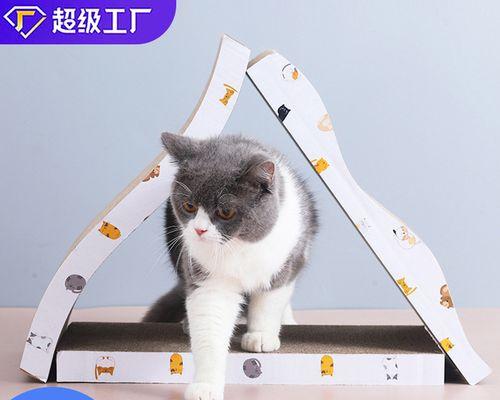 小心（宠物猫保健知识）