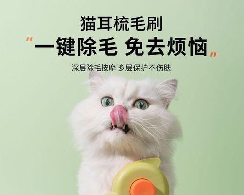 宠物猫咪不让梳毛的解决方法（如何让宠物猫咪安心接受梳毛）