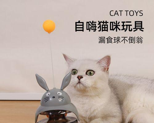 猫咪产后的排便问题（宠物主人必看）