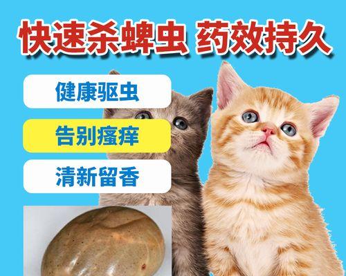 猫咪长跳蚤的反应（揭秘宠物跳蚤叮咬的真相）