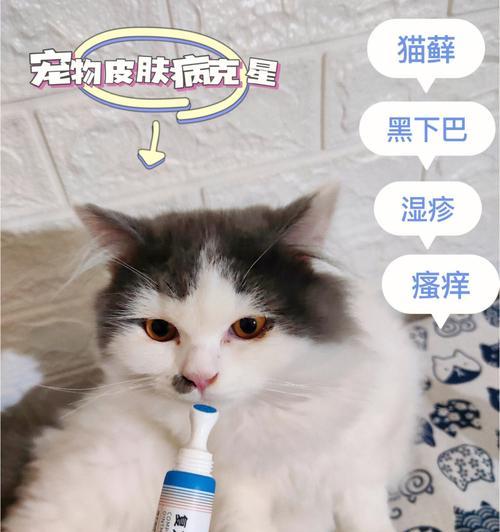 宠物猫咪长癣虫应该怎么办（寻找有效的治疗方法以及预防长癣虫的措施）