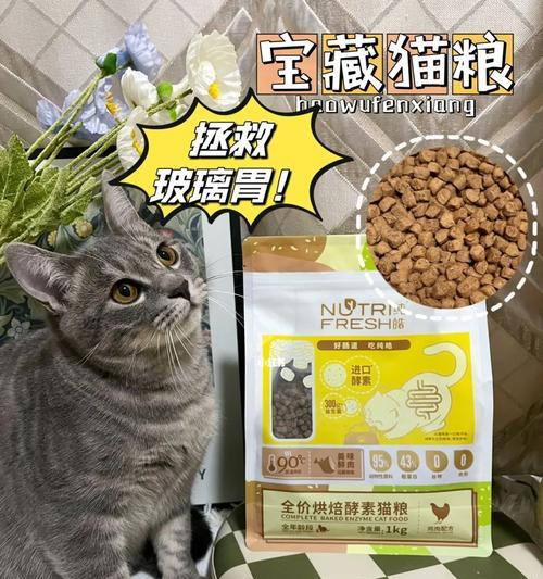 猫咪肠胃炎该吃什么猫粮（宠物健康从口入）