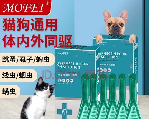 猫咪吃打虫药后大便血，如何正确应对（宠物健康需重视）