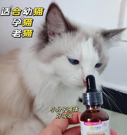 猫咪吃化毛膏拉肚子，如何预防和治疗（宠物的健康需要我们的细心呵护）