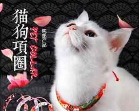 猫咪吃了绳子，急需处理（猫咪吃了口罩绳子怎么办）