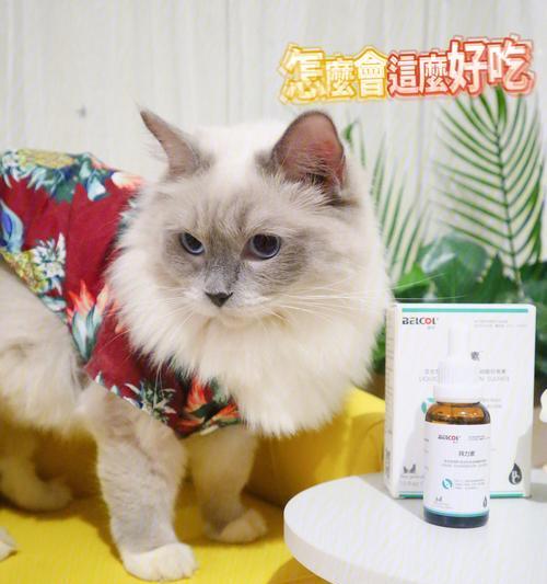 如何让你的猫咪通过饮食补充钙质（以宠物为主）