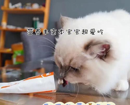 小心宠物猫的暴饮暴食，保护（太多食物会让你的猫生命短暂）