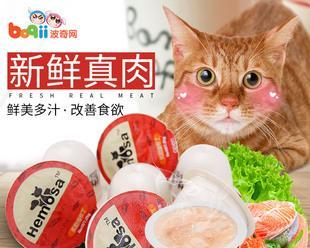 猫咪的鲜封包食用指南（如何让你的宠物享受美味又健康的鲜封包）