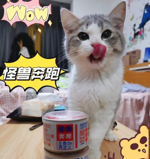 猫咪总甩头吃主食，你知道其中的原因吗（解析猫咪总甩头行为背后的原因及应对方法）