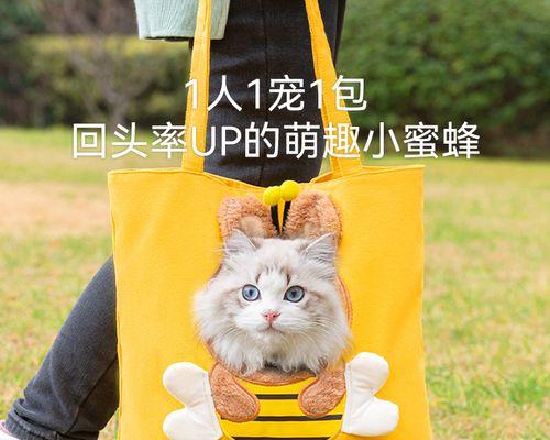 宠物猫突然攻击人的原因及对策（遭遇猫咪攻击怎么办）