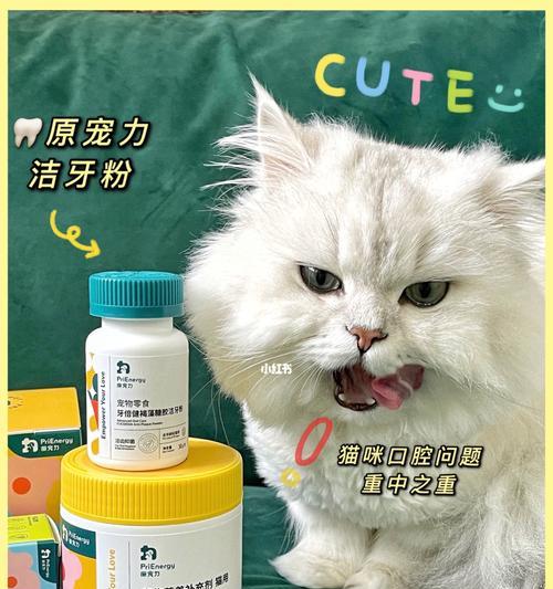 猫咪口臭怎么去除（宠物口臭不再难题）