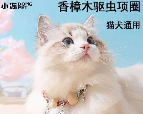 让你的宠物猫远离蚤子——除蚤圈是什么（了解除蚤圈的原理和使用方法）