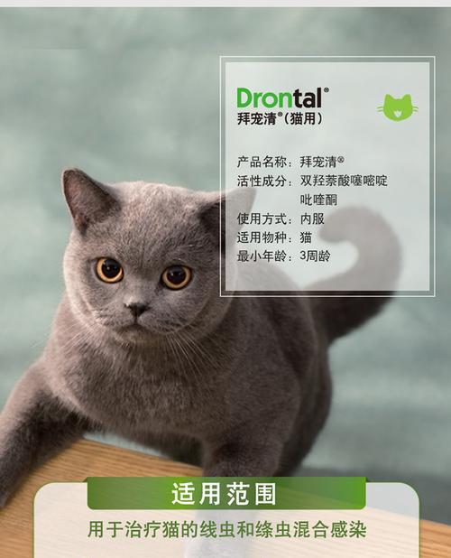 猫咪蛔虫病的全面解析（揭秘猫咪蛔虫病的危害和预防）