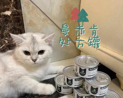 猫咪罐头的生存之道（以宠物为主）