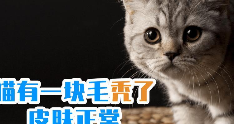 猫咪毛发脱落的原因及治疗方法（以宠物为主）