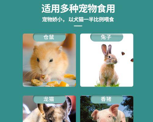 小猫缺钙如何判断与预防（关注宠物健康）