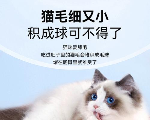 小猫三个月应该吃什么蔬菜（为你的宠物健康着想）