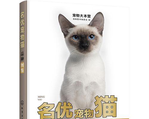 小猫不吃东西的原因（探究宠物小猫饮食难题）