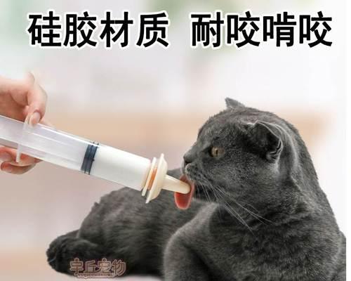 如何科学喂养3个月小猫（每天喂多少幼猫粮才合适）