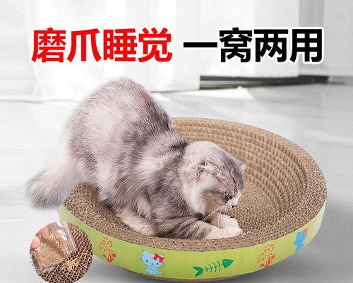 小猫为什么总是不收爪子（探究宠物猫喜欢伸展爪子的原因与方法）