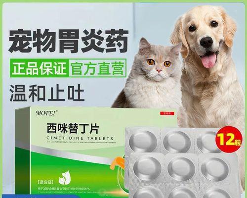 小猫肠胃炎预防指南（宠物喂养）