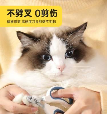 小猫指甲断了臭味扑鼻（如何解决小猫指甲断了发臭的问题）