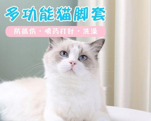 如何解决宠物小猫指甲太尖的问题（轻松学会剪指甲）