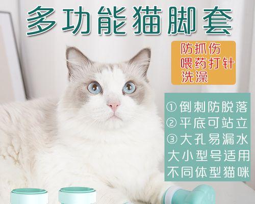 小猫爪子肿了流脓怎么办（宠物爱护必备）