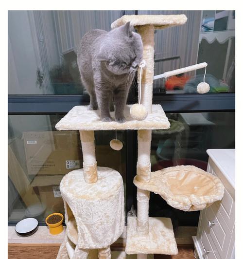 新猫爬架对猫咪的适应性（猫咪是否会害怕新猫爬架及如何引导猫咪使用）