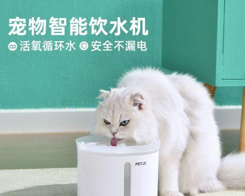 宠物世界的残酷竞争——大猫被小猫吃了（探究宠物间的攻击与适应）