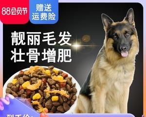 如何选择最适合德牧的狗粮（为您的德牧提供健康均衡的饮食）