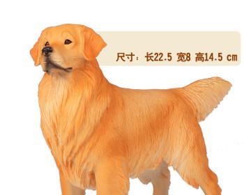 探秘以风水狗为代表的狗品种（宠物之中别具风水吉祥之犬）