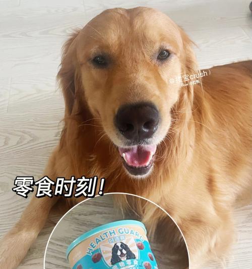 狗狗零食大全——让你的爱犬尝遍世间美味（如何选择适合狗狗的零食）