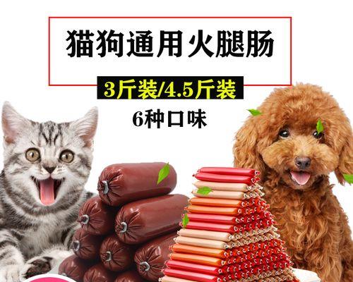 宠物狗狗的钙片补充与合理用药（如何合理给狗狗补充钙片）