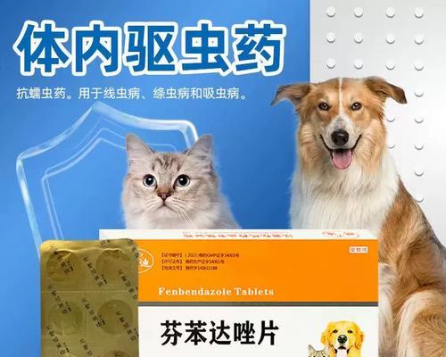 宠物犬使用止痒药品攻略（让你的狗狗舒舒服服过夏天——了解狗狗止痒药品）