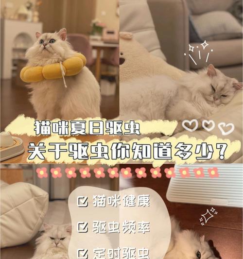 猫咪驱虫药吃重了（宠物爱好者必看）