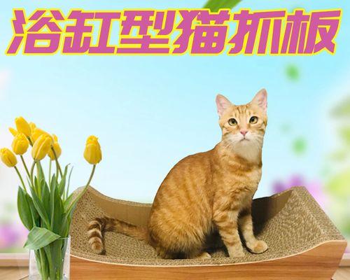 小猫为什么不能随便摸（探究小猫的生理和心理需求）