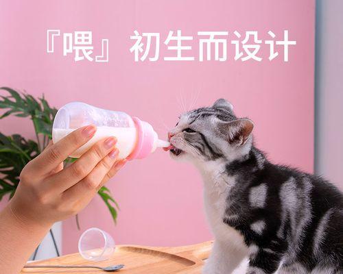 如何正确应对宠物猫咪咬人问题（帮你掌握正确的处理方式）