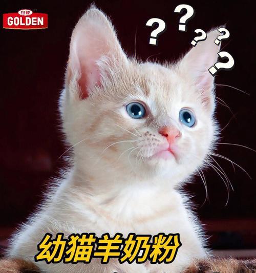 为什么小猫不喜欢喝羊奶（探究小猫不爱喝羊奶的原因及如何正确喂养）
