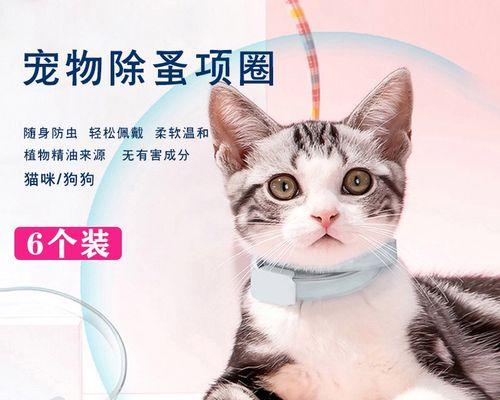 小猫误食虫子怎么办（宠物猫误食虫子后的处理方法）