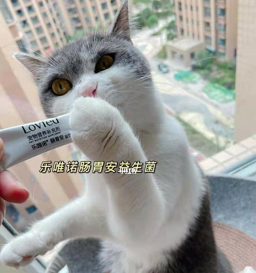 小猫腹泻应该吃什么药（宠物健康必备）