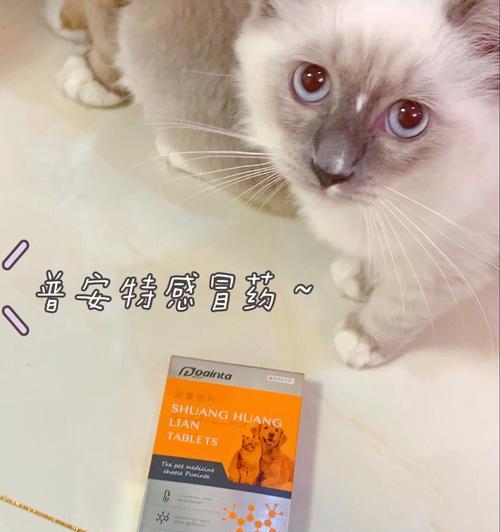 小猫咳嗽怎么办（药物治疗小猫咳嗽的常用药品及使用方法）