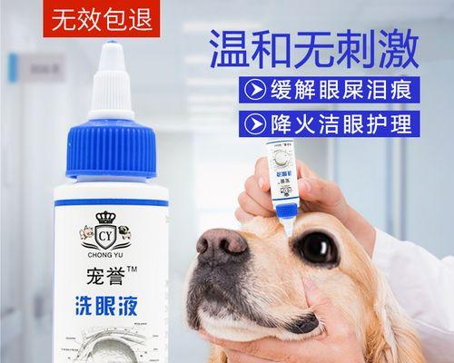 犬瘟治疗药物详解——保护宠物健康（了解正确的药物选择与使用）