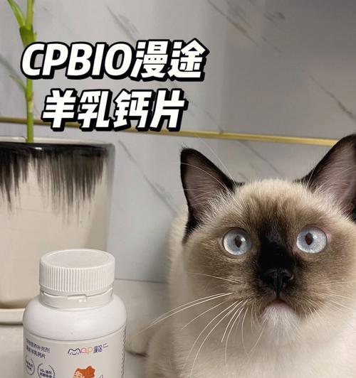 以人的钙片小猫能吃吗（宠物的健康需要重视）