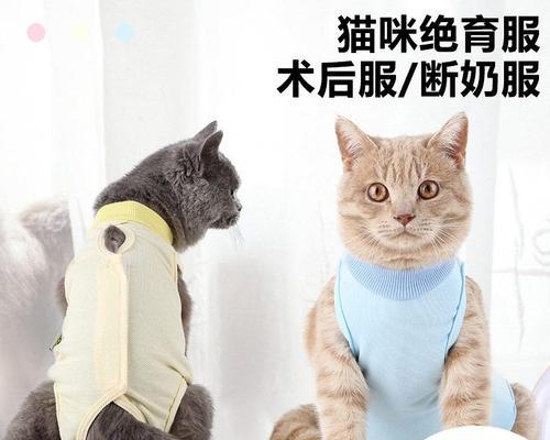 如何为宠物猫咪制作手术服（制作过程详解）