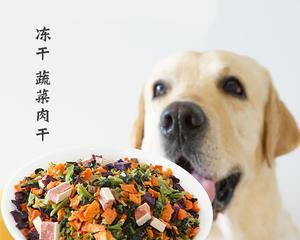 狗狗毛发护理的必备蔬菜（以宠物为主）